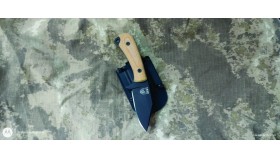 Vespa Caçadora Vespa Caçadora