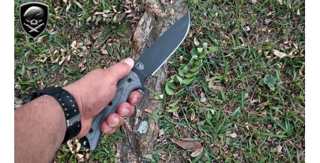 Esee 6