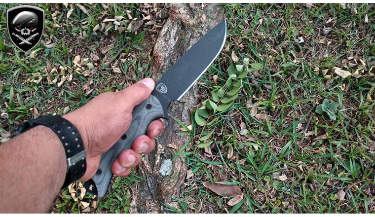 Esee 6